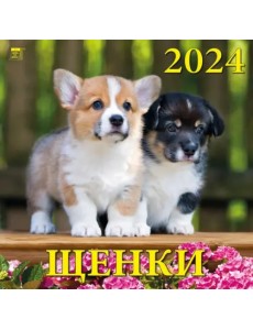2024 Календарь Щенки 2024 Календарь Щенки