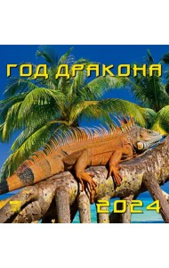2024 Календарь Год дракона