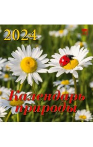 2024 Календарь природы