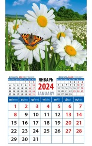2024 Календарь Ромашки с бабочкой