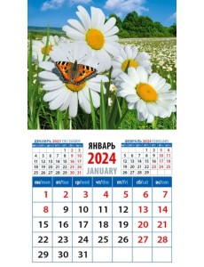 2024 Календарь Ромашки с бабочкой