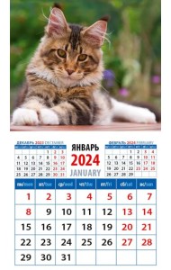 2024 Календарь Котенок Мейн-кун