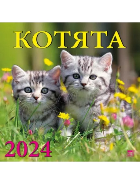 2024 Календарь Котята