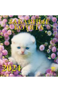 2024 Календарь Забавные котята