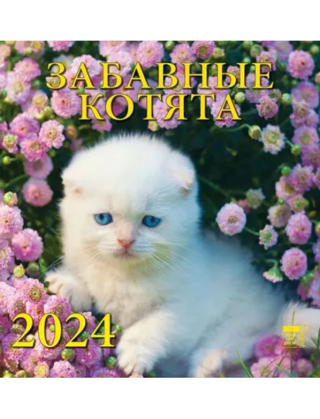 2024 Календарь Забавные котята
