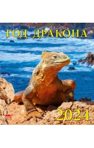 2024 Календарь Год дракона