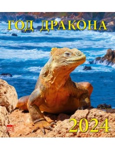 2024 Календарь Год дракона