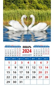 2024 Календарь Лебединая пара