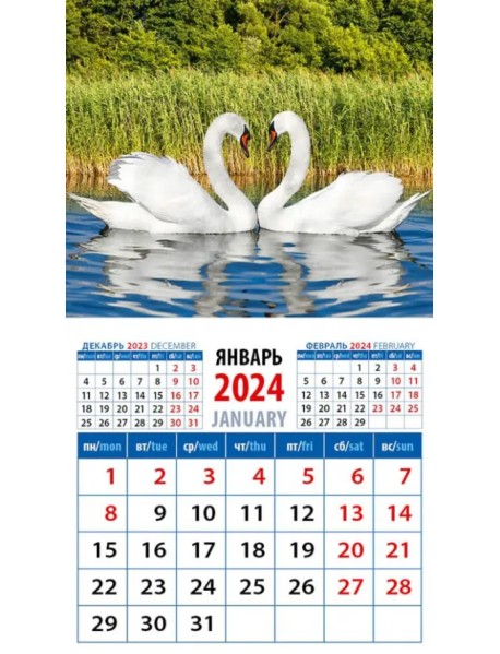 2024 Календарь Лебединая пара