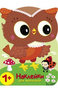 Совы. Кто в лесу самый красивый?