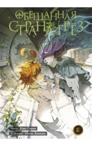 Обещанная страна грёз. Книга 8