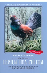 Птицы под снегом