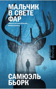 Мальчик в свете фар