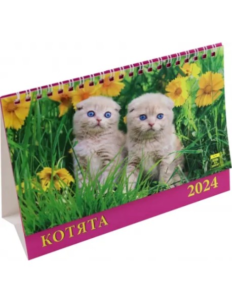 Календарь настольный на 2024 год Котята