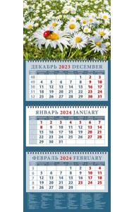 Календарь на 2024 год Ромашки и божья коровка