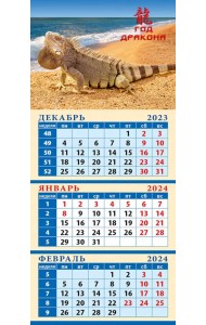 Календарь на 2024 год Год дракона