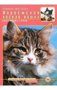 Норвежская лесная кошка. Содержание и уход