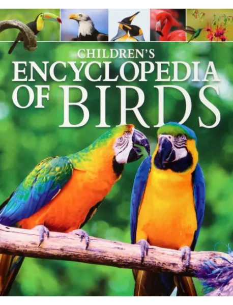 Children's Encyclopedia of Birds