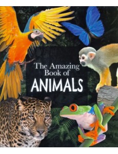 The Amazing Book of Animals