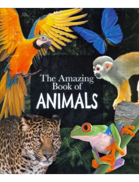The Amazing Book of Animals