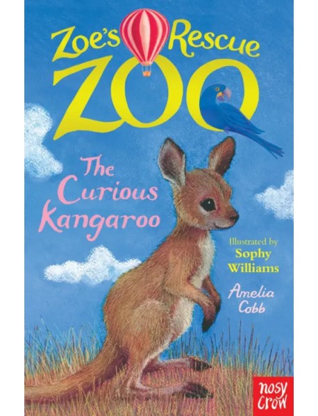 The Curious Kangaroo