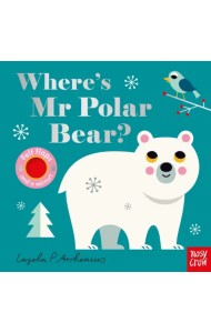 Where's Mr Polar Bear?