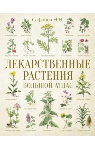Лекарственные растения. Большой атлас