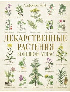 Лекарственные растения. Большой атлас Лекарственные растения. Большой атлас