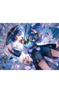 Картина для раскрашивания по номерам Геншин. Странник