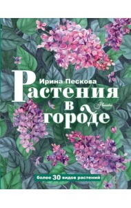 Растения в городе