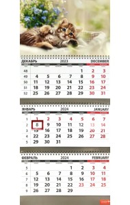 Календарь квартальный на 2024 год Котята. Цветы