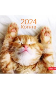 Календарь настенный перекидной на 2024 год Котята