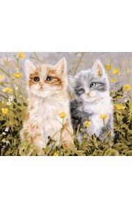 Живопись на холсте Славная парочка, 30х40