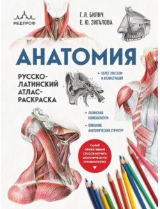 Анатомия. Русско-латинский атлас-раскраска Анатомия. Русско-латинский атлас-раскраска