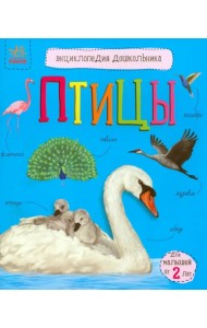 Птицы. Энциклопедия дошкольника
