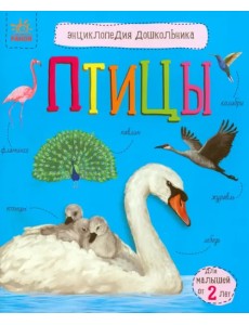 Птицы. Энциклопедия дошкольника Птицы. Энциклопедия дошкольника
