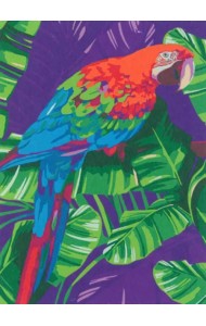 Картина по номерам на холсте с подрамником Попугай