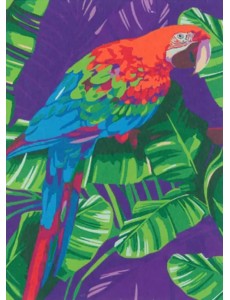 Картина по номерам на холсте с подрамником Попугай Картина по номерам на холсте с подрамником Попугай