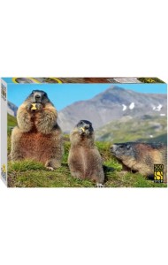 Пазл-500 Альпийские сурки
