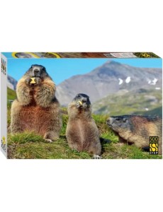 Пазл-500 Альпийские сурки Пазл-500 Альпийские сурки