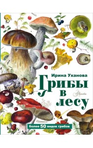 Грибы в лесу