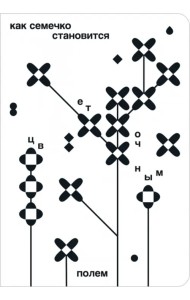 Как семечко становится цветочным полем