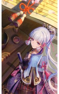 Картина по номерам Геншин. Аяка