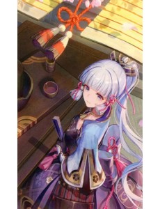 Картина по номерам Геншин. Аяка Картина по номерам Геншин. Аяка