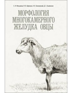 Морфология многокамерного желудка овцы. Монография Морфология многокамерного желудка овцы. Монография