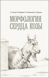 Морфология сердца козы. Монография