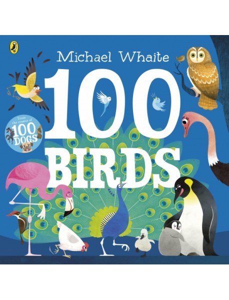 100 Birds