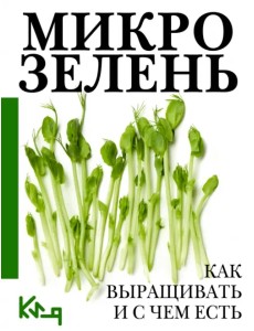 Микрозелень. Как выращивать и с чем есть Микрозелень. Как выращивать и с чем есть