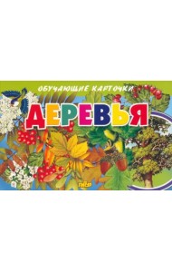 Карточки. Деревья