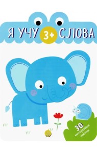 Я учу слова. 3+